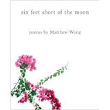 Six Feet Short of the Moon