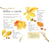 A Field Guide To Autumn