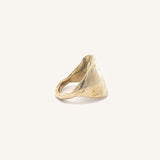 The Protector Ring | Brass Shield Signet