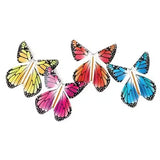Magic Flying Butterfly | Rainbow