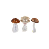 Tabletop Mushroom | Assorted Ornaments
