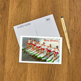 Women Water Skiers Postcard