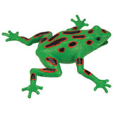 Frog Squishimals | Assorted