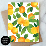 Oranges Boxed Notes | Set of 6