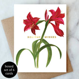 Amaryllis Holiday Wishes Boxed Notes