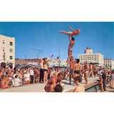 Venice Beach Muscle Postcard