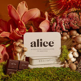 Mushroom Chocolates | Brainstorm
