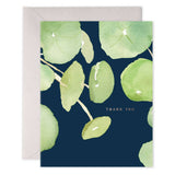 Pancake Plant Thank You Boxed Notes