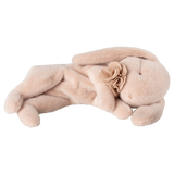 Small Sleeping Bunny | Powder