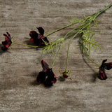 Single Stem Cosmo Flowers | Merlot