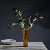 Single Stem Cosmo Flowers | Merlot