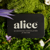 Mushroom Chocolates | Nightcap