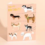 Out For A Walk Birthday Card