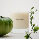 Liane de Tomate Candle