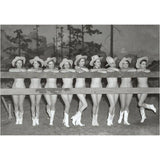 Nude Cowgirls Postcard