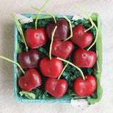 Dark Cherry Beeswax Birthday Candles | Set of 10
