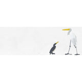 A Book Of Birds