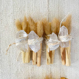 Shining Light Palo Santo Bundle
