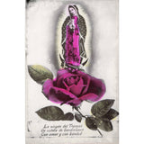 Virgen De Guadalupe Postcard