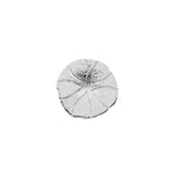 Pocket Charm | Sand Dollar