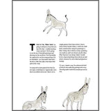 The Christmas Story As Told By Hee Haw The Donkey