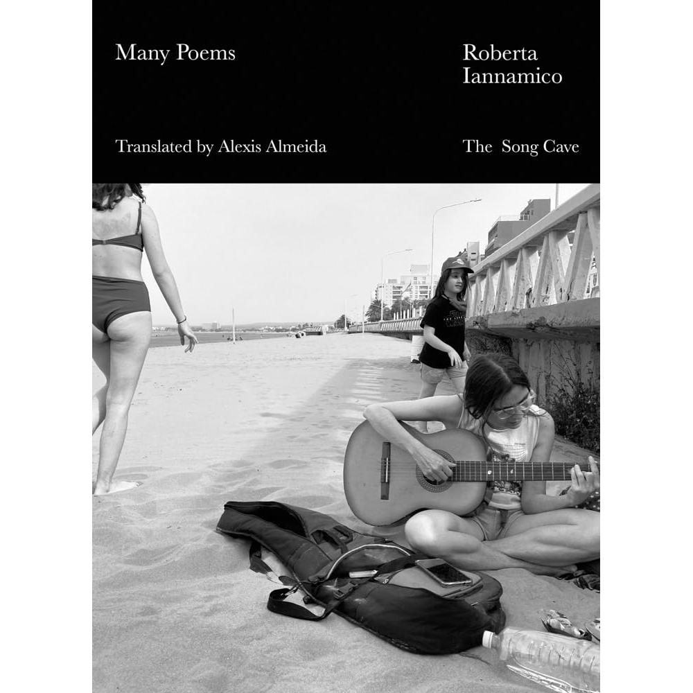 Many Poems Burro Many poems burro