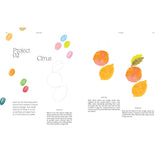 15-Minute Art Drawing