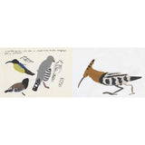 A Book Of Birds