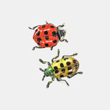 Allie Clip Pack | Spotted Crawlers