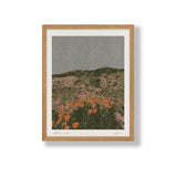 8.5x11 Art Print | California Poppies