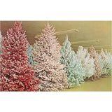 Lots Of Flocked Christmas Trees Postcard