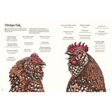 Cluck