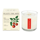 Plant the Box Soy Candle | Wild Tomato Vine