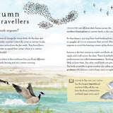 A Field Guide To Autumn