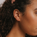 Crawler Earrings | Champagne CZ