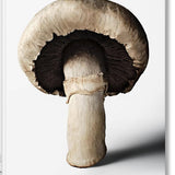 The Gourmand's Mushroom
