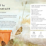 A Field Guide To Autumn