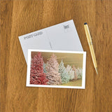 Lots Of Flocked Christmas Trees Postcard