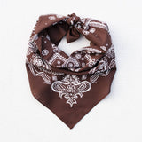 Sketched Paisley Bandana | Brown