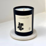 7.5 oz Candle | Carmelina