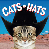 Cats In Hats