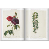 Redouté | Roses