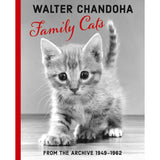 Walter Chandoha: Family Cats