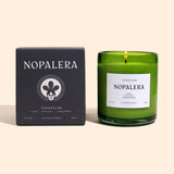 8.5 oz Candle | Tepoztlán