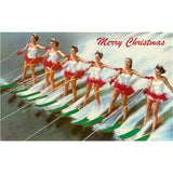 Women Water Skiers Postcard