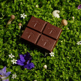Mushroom Chocolates | Nightcap