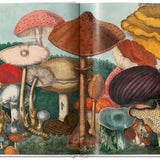 The Gourmand's Mushroom