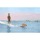 Surfing Dog Postcard