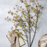 Single Stem Cherry Blossom | Pink