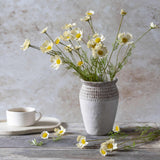 Single Stem Cosmo Flowers | Buttermilk